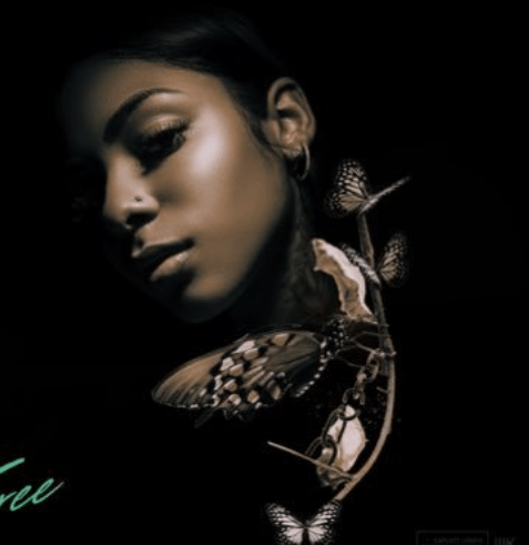 Screen Shot 2018-12-03 at 7.42.58 PM